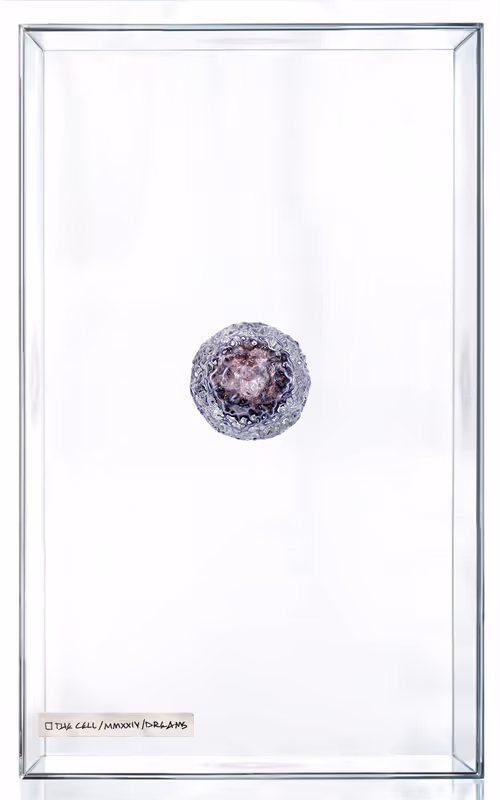 Item #2000000000000000007 Media