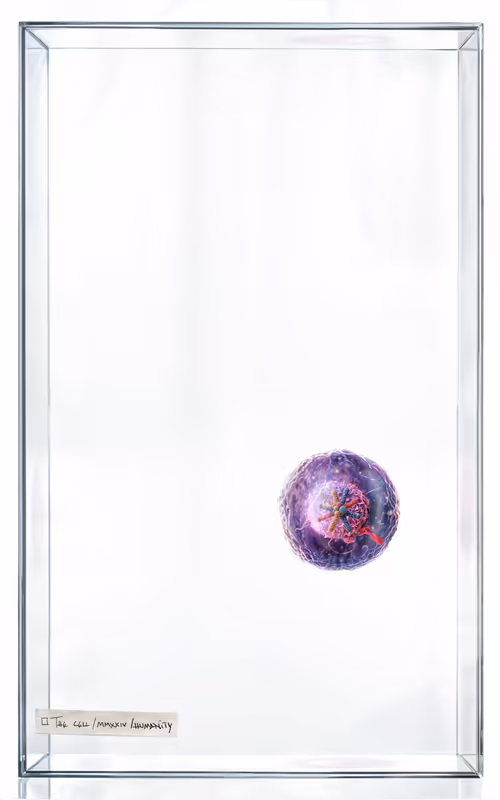 Item #4000000000000000003 Media