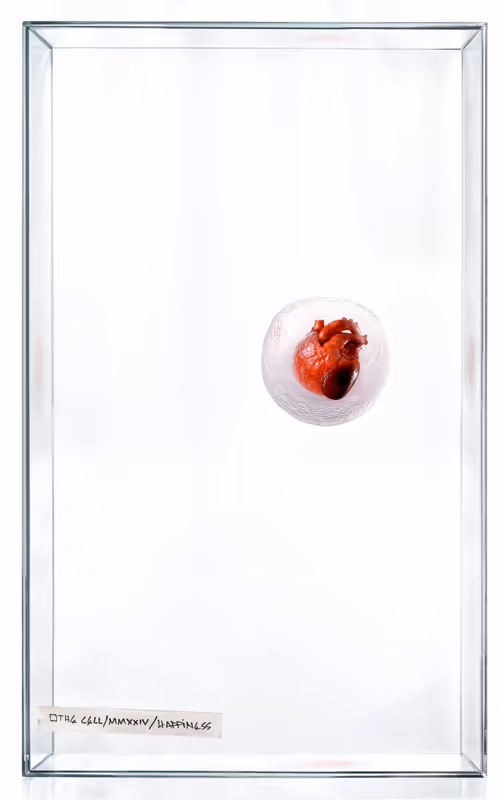 Item #3000000000000000007 Media