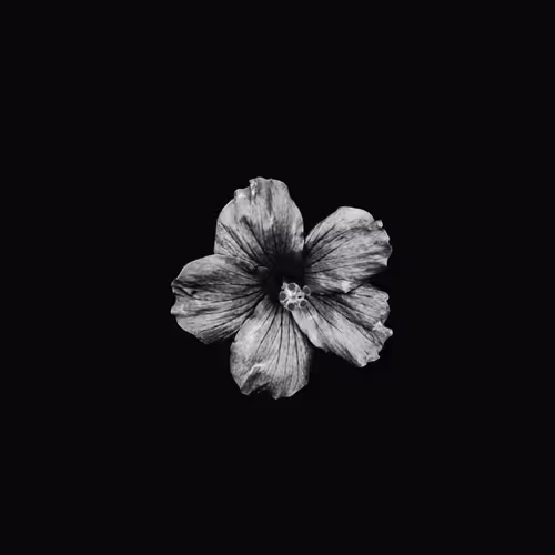 BLACK & WHITE