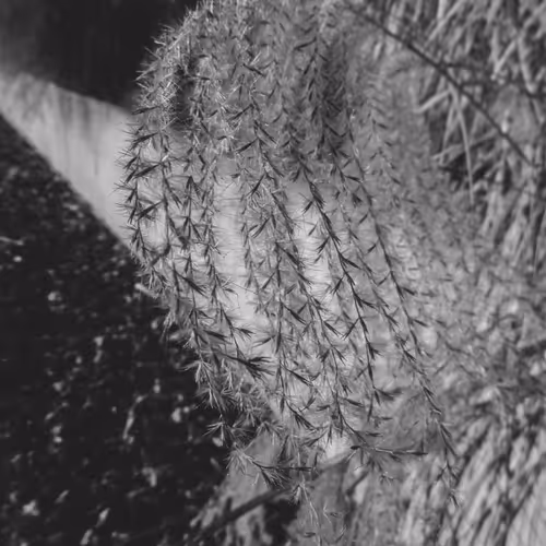 JB Photography
