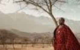 0xf57e96fc17f136b7fe2e12ae7f16a4857b9cbf98