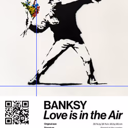Banksy | Love Is In The Air #9229
