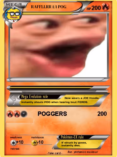 1/1 RAFFLLR SPECIAL POG V2