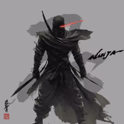 NINJA①