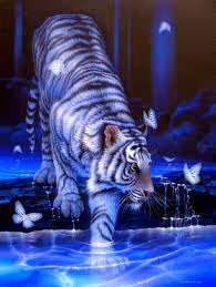 Item #107839786668602559178668060348078522694548577690162289924414440996865 Media