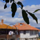 0xfb05c70aa63870acaf0eaaff3ce83040147218d6