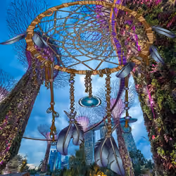 Dreamcatcher