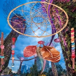 Dreamcatcher