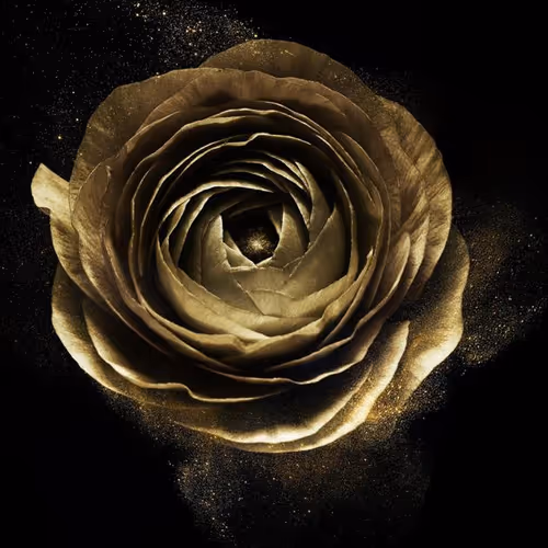 Golden Rose
