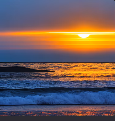 "Velocity Collection"