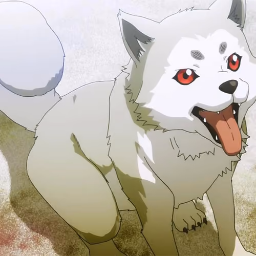 DOGe NFT