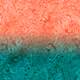 593