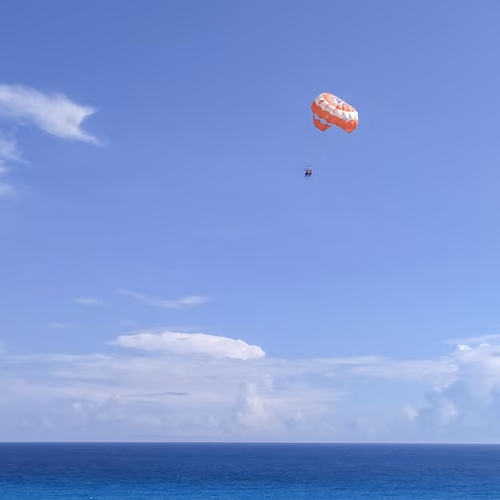 flight