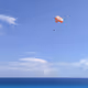 flight