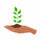 Avax Sapling