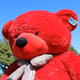 bearmarket