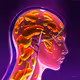 Innermost by Brian Morris