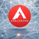 AVAX CARD