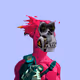 JNGLRS