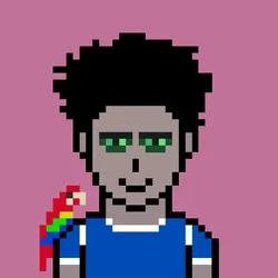 项目媒体占位符