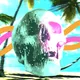 Crypt0R0ach