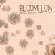 Bloomflow: Enhanced