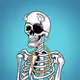 SkeletonsBone