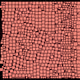 AVAXMAP