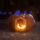 Trader Joe Pumpkins