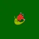 Snail Trail Game