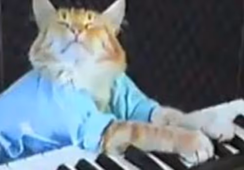 KeyCat