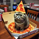 Cat in Pizza Box