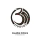 GlassCoils NFT
