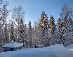 项目媒体占位符