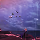 avax archive