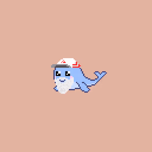 BB Whales