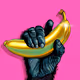 Kong’s Bananas Collection