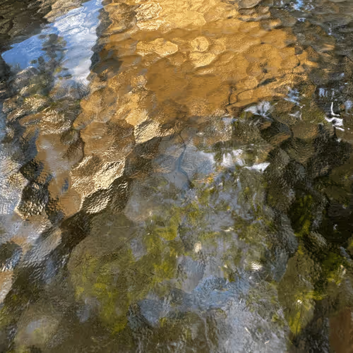 investixs's Collection