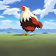 Chikndom