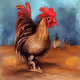 Whiskey & Coq