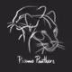 Piano Panthers