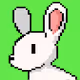 Bunny Land Game