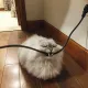 ELECTRIC TRAP