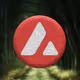 avax V4