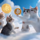 Cats btc