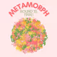 Metamorph