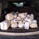 Got milk