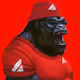AvaKong