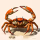 Crab Cake